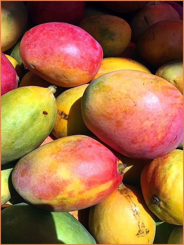 Buah-buahan tropis lokal Indonesia